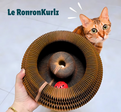 Le RonronKurlz